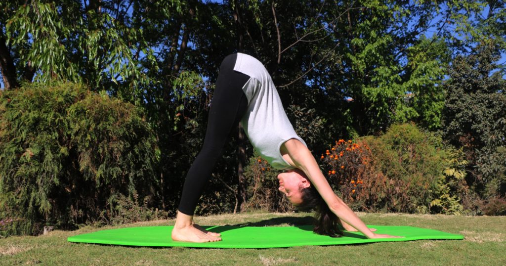 Downward Dog | Adho Mukha Svanasana